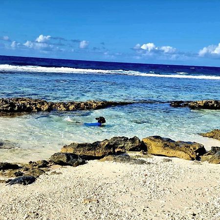 Un Ecrin De Paix Au Soleil Et Proche De La Mer Moorea Extérieur photo
