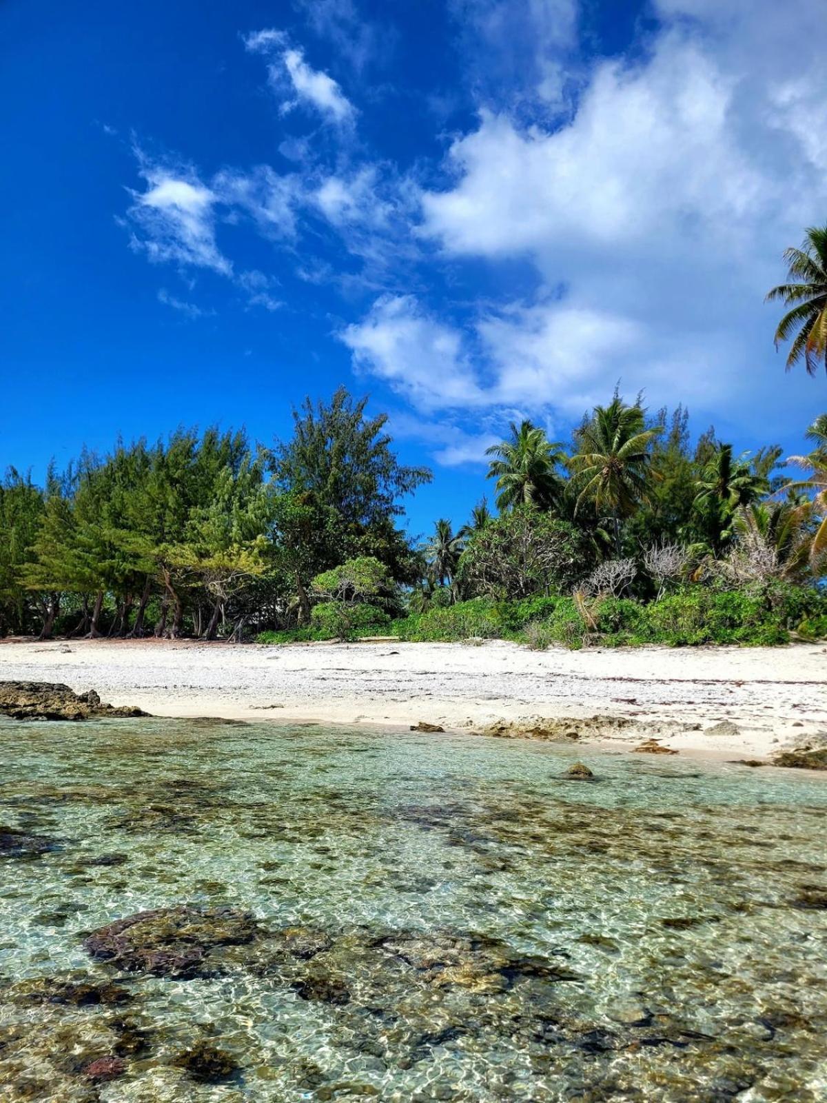 Un Ecrin De Paix Au Soleil Et Proche De La Mer Moorea Extérieur photo
