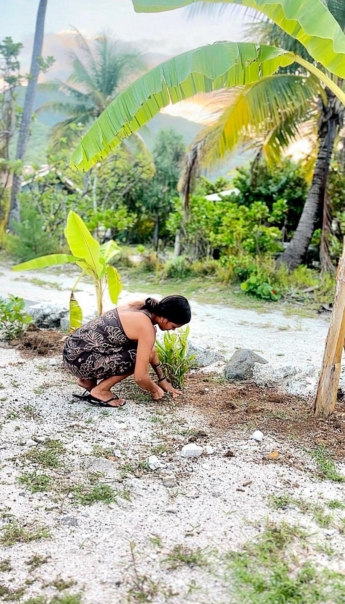 Un Ecrin De Paix Au Soleil Et Proche De La Mer Moorea Extérieur photo